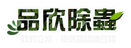 專業除白蟻服務，從源頭解決白蟻滋生問題