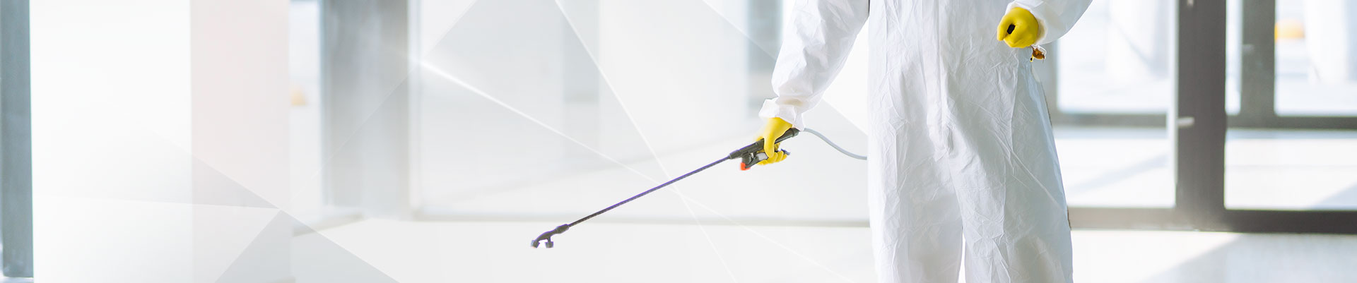 品欣蛀蟲防治除蟲