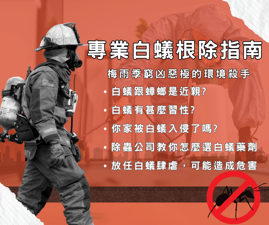 專業白蟻根除指南