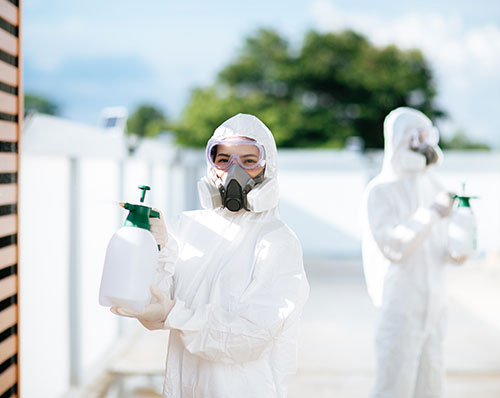 白蟻防治正確觀念