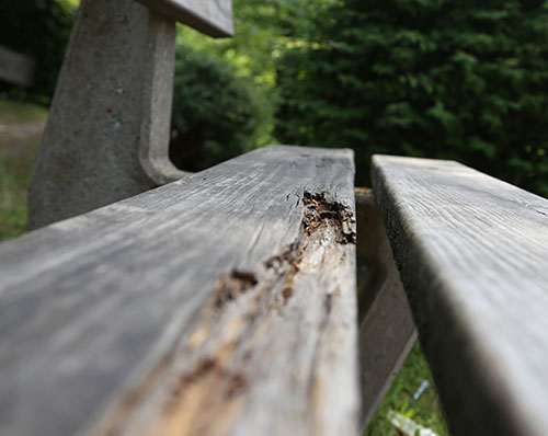 長效防蟻維護重點